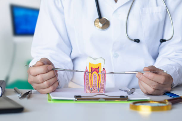 Best Emergency Tooth Extraction in Sanford, ME
